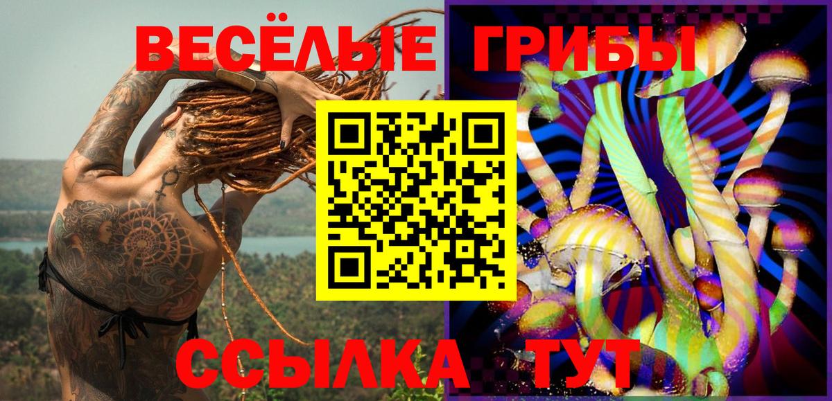 Домодедово  Галлюциногенные грибы ЛСД  Вход с VPN  Галлюциногенные грибы ЛСД 