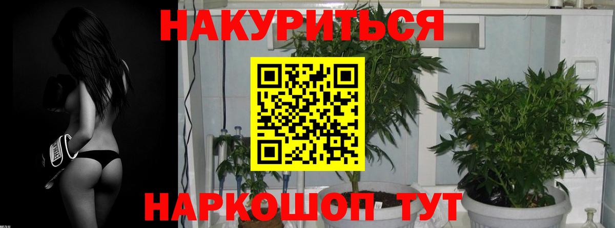 Конопля ГИДРОПОН  Вход с VPN  Домодедово  Бошки марихуана сатива 